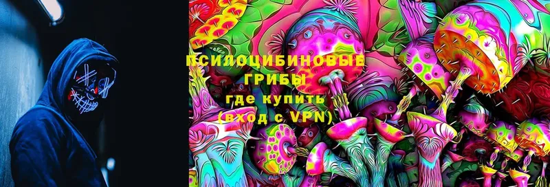 купить  цена  Клин  Галлюциногенные грибы MAGIC MUSHROOMS 